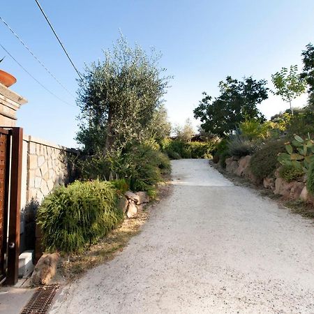 Montebosco Luxury Country House Apartment Piano di Sorrento Bagian luar foto