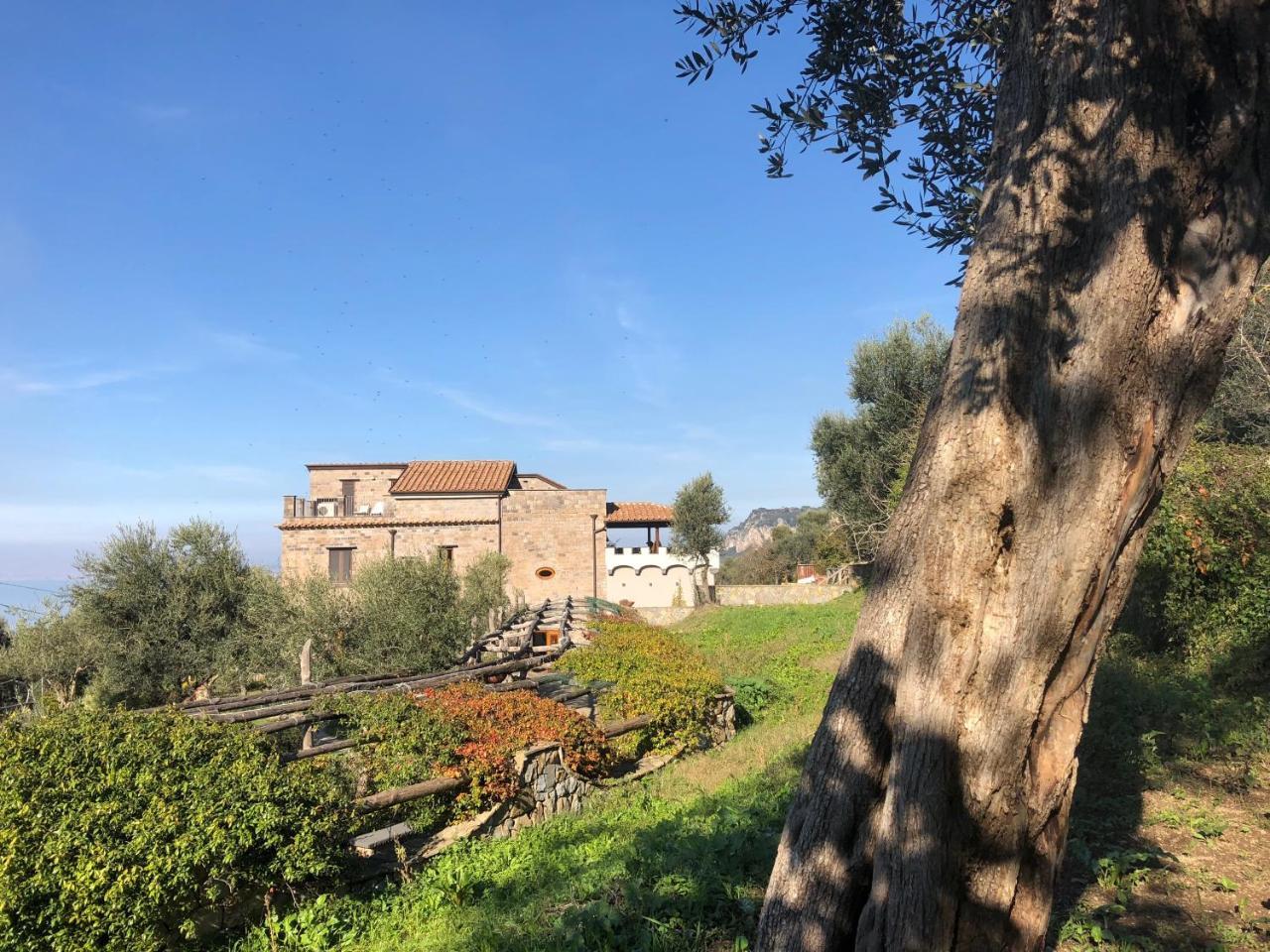 Montebosco Luxury Country House Apartment Piano di Sorrento Bagian luar foto